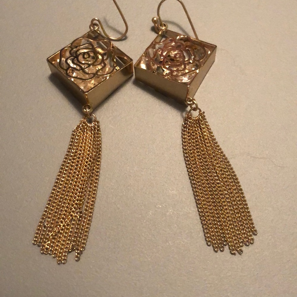 Fancy Earrings!